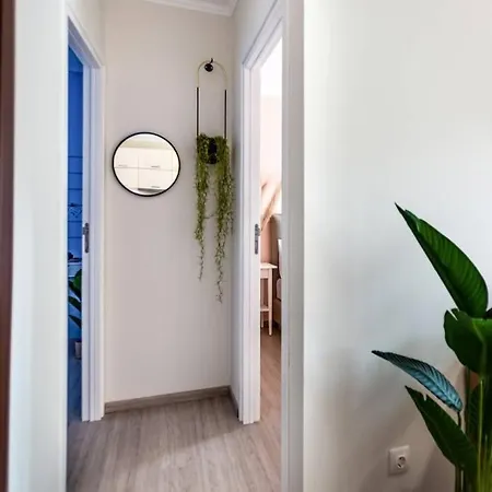 Apartment Marilu- The Downtown *